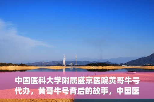 中国医科大学附属盛京医院黄哥牛号代办，黄哥牛号背后的故事，中国医科大学附属盛京医院的信赖之选