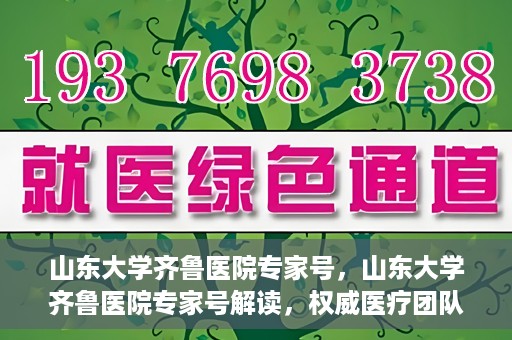 山东大学齐鲁医院专家号，山东大学齐鲁医院专家号解读，权威医疗团队的专业解读与诊疗之道