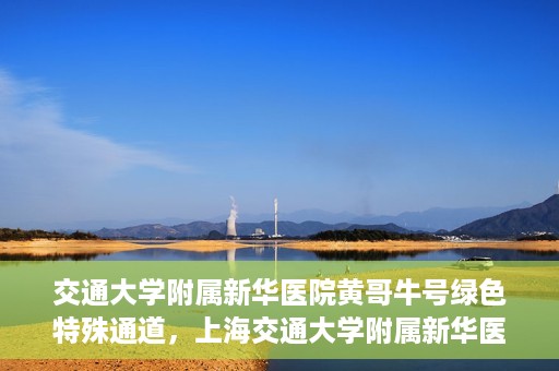 交通大学附属新华医院黄哥牛号绿色特殊通道，上海交通大学附属新华医院黄哥牛号绿色就医特殊通道解析