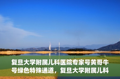 复旦大学附属儿科医院专家号黄哥牛号绿色特殊通道，复旦大学附属儿科医院专家号绿色通道，黄哥牛号特殊通道揭秘