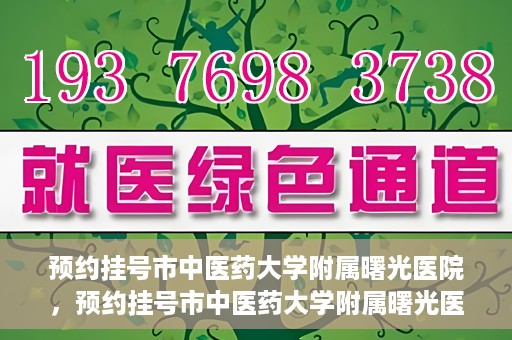 预约挂号市中医药大学附属曙光医院，预约挂号市中医药大学附属曙光医院，一站式便捷就医服务新体验
