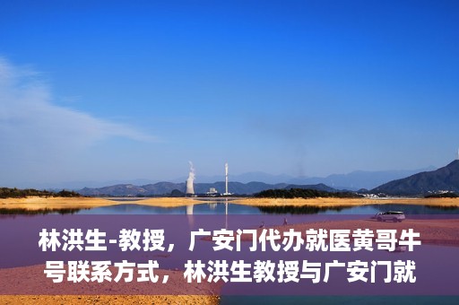 林洪生-教授，广安门代办就医黄哥牛号联系方式，林洪生教授与广安门就医黄哥，背后的故事与联系方式揭秘