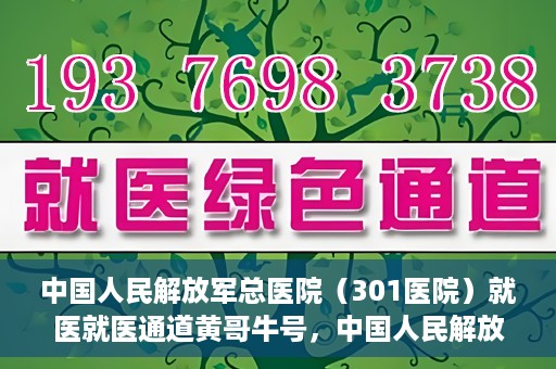 中国人民解放军总医院（301医院）就医就医通道黄哥牛号，中国人民解放军总医院（301医院）黄哥牛号就医通道详解
