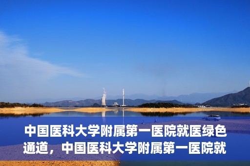 中国医科大学附属第一医院就医绿色通道，中国医科大学附属第一医院就医绿色通道，打造便捷医疗新体验