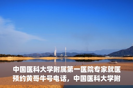 中国医科大学附属第一医院专家就医预约黄哥牛号电话，中国医科大学附属第一医院专家预约挂号热线，黄哥牛号电话助您轻松就医。