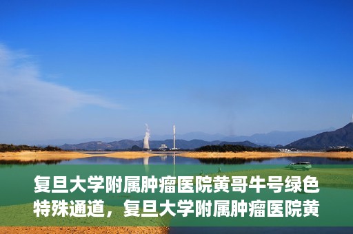 复旦大学附属肿瘤医院黄哥牛号绿色特殊通道，复旦大学附属肿瘤医院黄哥牛号，绿色特殊通道揭秘
