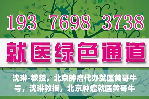 沈琳-教授，北京肿瘤代办就医黄哥牛号，沈琳教授，北京肿瘤就医黄哥牛号解析与解读
