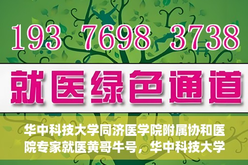 华中科技大学同济医学院附属协和医院专家就医黄哥牛号，华中科技大学同济医学院附属协和医院专家黄哥牛号解析就医攻略