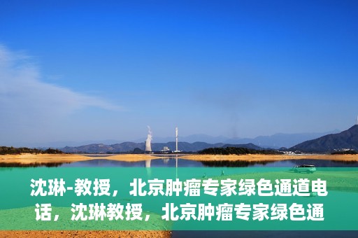 沈琳-教授，北京肿瘤专家绿色通道电话，沈琳教授，北京肿瘤专家绿色通道热线揭秘