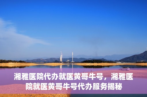 湘雅医院代办就医黄哥牛号，湘雅医院就医黄哥牛号代办服务揭秘