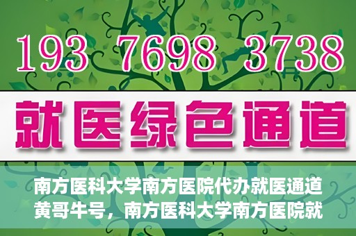 南方医科大学南方医院代办就医通道黄哥牛号，南方医科大学南方医院就医通道代办服务揭秘，黄哥牛号引领便捷就医新风尚
