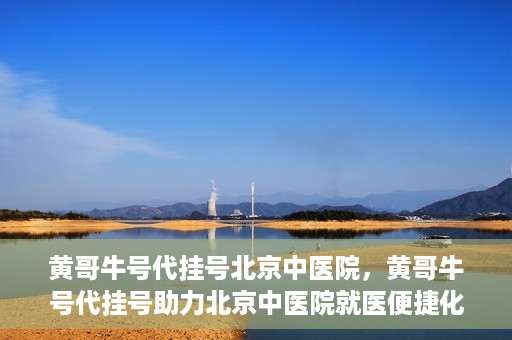 黄哥牛号代挂号北京中医院，黄哥牛号代挂号助力北京中医院就医便捷化