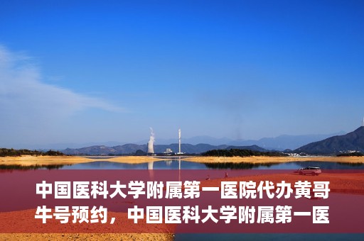 中国医科大学附属第一医院代办黄哥牛号预约，中国医科大学附属第一医院预约挂号代办服务解析——黄哥牛号预约揭秘