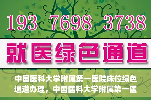 中国医科大学附属第一医院床位绿色通道办理，中国医科大学附属第一医院床位绿色通道办理详解，快速入院攻略