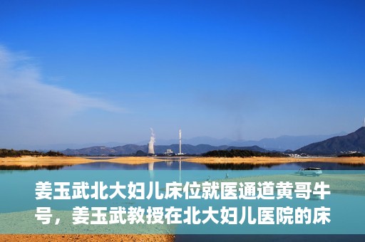 姜玉武北大妇儿床位就医通道黄哥牛号，姜玉武教授在北大妇儿医院的床位就医绿色通道，黄哥牛号助您轻松挂号就医