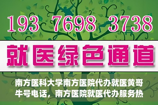 南方医科大学南方医院代办就医黄哥牛号电话，南方医院就医代办服务热线揭秘，黄哥牛号电话助您轻松就医！