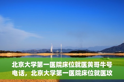 北京大学第一医院床位就医黄哥牛号电话，北京大学第一医院床位就医攻略，黄哥牛号电话全解析