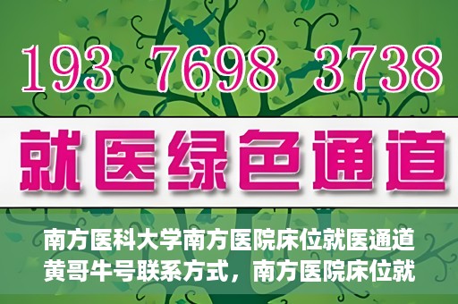 南方医科大学南方医院床位就医通道黄哥牛号联系方式，南方医院床位就医通道详解，黄哥牛号联系方式及就医指南