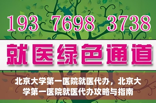 北京大学第一医院就医代办，北京大学第一医院就医代办攻略与指南