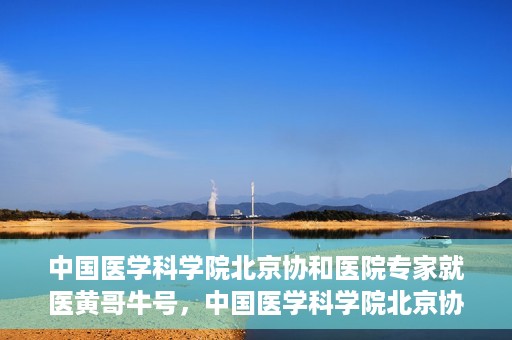 中国医学科学院北京协和医院专家就医黄哥牛号，中国医学科学院北京协和医院专家就医攻略，黄哥牛号解析