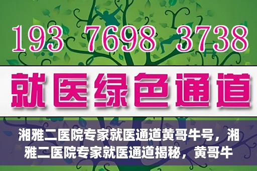 湘雅二医院专家就医通道黄哥牛号，湘雅二医院专家就医通道揭秘，黄哥牛号引领就医新风尚