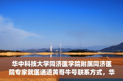 华中科技大学同济医学院附属同济医院专家就医通道黄哥牛号联系方式，华中科技大学同济医院专家就医通道，黄哥牛号联系方式全解析