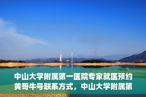 中山大学附属第一医院专家就医预约黄哥牛号联系方式，中山大学附属第一医院专家黄哥牛号预约指南，就医预约联系方式全解析