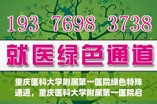 重庆医科大学附属第一医院绿色特殊通道，重庆医科大学附属第一医院启动绿色特殊通道，高效医疗服务的探索与实践
