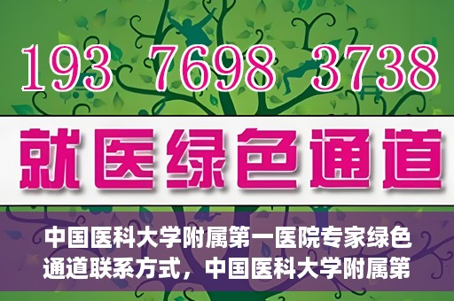 中国医科大学附属第一医院专家绿色通道联系方式，中国医科大学附属第一医院专家绿色通道联系热线及咨询方式