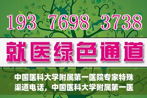 中国医科大学附属第一医院专家特殊渠道电话，中国医科大学附属第一医院专家特殊渠道专线揭秘