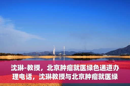 沈琳-教授，北京肿瘤就医绿色通道办理电话，沈琳教授与北京肿瘤就医绿色通道，一键通话解决就医难题