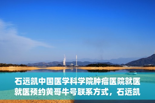 石远凯中国医学科学院肿瘤医院就医就医预约黄哥牛号联系方式，石远凯教授，中国医学科学院肿瘤医院就医预约指南及联系方式揭秘