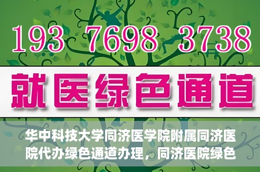 华中科技大学同济医学院附属同济医院代办绿色通道办理，同济医院绿色通道代办服务，专业高效，便捷无忧