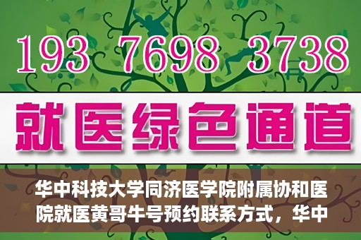 华中科技大学同济医学院附属协和医院就医黄哥牛号预约联系方式，华中科技大学同济医学院附属协和医院就医预约联系方式及黄哥牛号预约揭秘