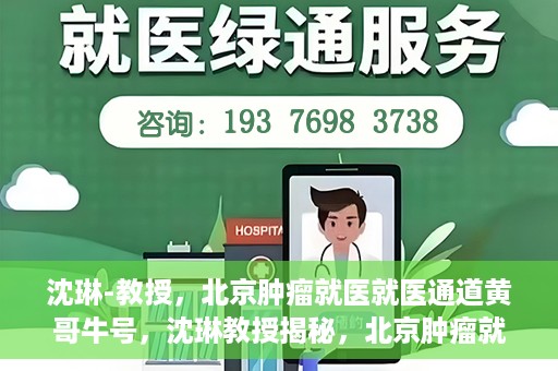 沈琳-教授，北京肿瘤就医就医通道黄哥牛号，沈琳教授揭秘，北京肿瘤就医通道的关键人物黄哥牛号引领就医新风尚