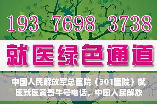 中国人民解放军总医院（301医院）就医就医黄哥牛号电话，中国人民解放军总医院（301医院）黄哥牛号电话就医攻略与指南