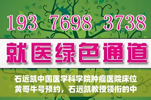 石远凯中国医学科学院肿瘤医院床位黄哥牛号预约，石远凯教授领衔的中国医学科学院肿瘤医院床位预约攻略，黄哥牛号预约详解
