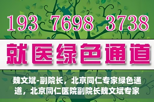 魏文斌-副院长，北京同仁专家绿色通道，北京同仁医院副院长魏文斌专家绿色通道介绍