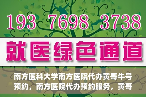 南方医科大学南方医院代办黄哥牛号预约，南方医院代办预约服务，黄哥牛号预约详解