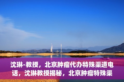 沈琳-教授，北京肿瘤代办特殊渠道电话，沈琳教授揭秘，北京肿瘤特殊渠道电话代办服务