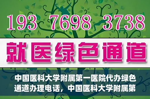 中国医科大学附属第一医院代办绿色通道办理电话，中国医科大学附属第一医院绿色通道办理电话及代办服务详解