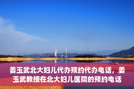 姜玉武北大妇儿代办预约代办电话，姜玉武教授在北大妇儿医院的预约电话及代办服务详解