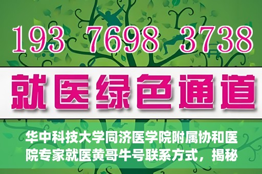 华中科技大学同济医学院附属协和医院专家就医黄哥牛号联系方式，揭秘华中科技大学同济医学院附属协和医院专家黄哥牛号联系信息及就医攻略