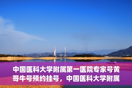 中国医科大学附属第一医院专家号黄哥牛号预约挂号，中国医科大学附属第一医院专家黄哥牛预约挂号攻略，轻松预约顶级专家号