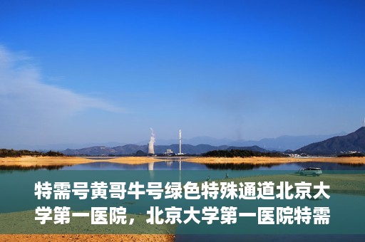 特需号黄哥牛号绿色特殊通道北京大学第一医院，北京大学第一医院特需号黄哥牛号，绿色特殊通道揭秘