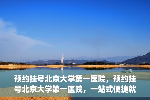 预约挂号北京大学第一医院，预约挂号北京大学第一医院，一站式便捷就医服务攻略