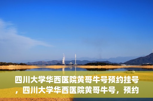 四川大学华西医院黄哥牛号预约挂号，四川大学华西医院黄哥牛号，预约挂号攻略与指南