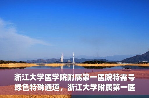 浙江大学医学院附属第一医院特需号绿色特殊通道，浙江大学附属第一医院特需号绿色通道解析