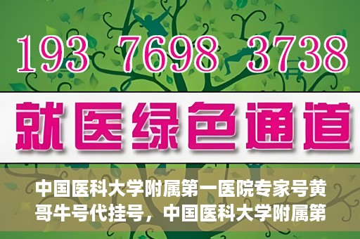 中国医科大学附属第一医院专家号黄哥牛号代挂号，中国医科大学附属第一医院专家号代挂号揭秘，黄哥牛号背后的故事