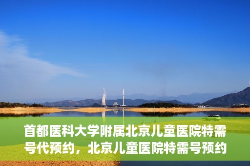 首都医科大学附属北京儿童医院特需号代预约，北京儿童医院特需号预约服务详解